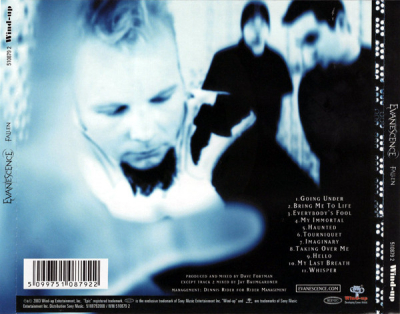 Keywords: amy lee,fallen,evanescence,world evanescence day