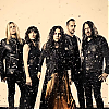 amyleefans1.jpg