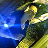 evrarepics2_429430059_926347632271917_589168814.jpg