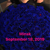 IMG_9071.PNG