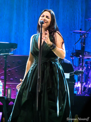 Evanescence-3-of-3.jpg