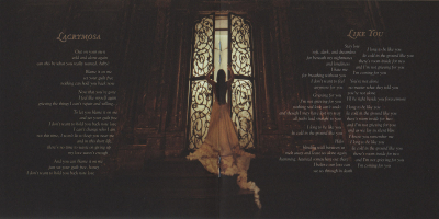 Keywords: amy lee,amy photos,evanescence,the open door,like you,call me when you',re sober,TOD