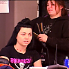 amyleefans20161.png