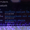 amyleefans63481.png