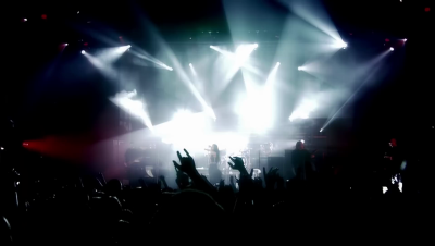 amyleefans11341.png