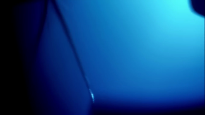 amyleefans19081.png