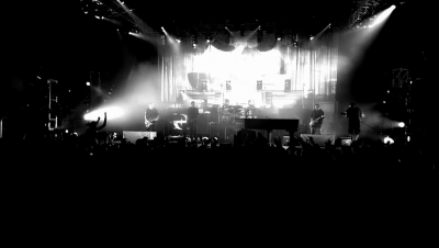 amyleefans21331.png