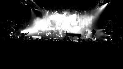 amyleefans21361.png