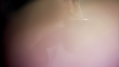 amyleefans21961.png