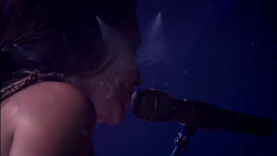 amyleefans33031.png