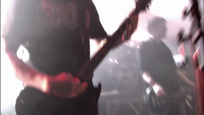 amyleefans41131.png