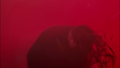 amyleefans42841.png