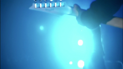 amyleefans46531.png