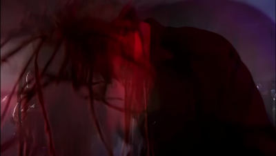 amyleefans48271.png