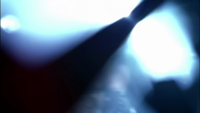 amyleefans48571.png