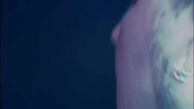 amyleefans48721.png