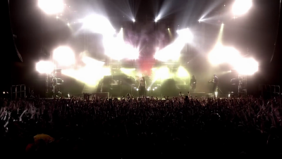 amyleefans55381.png