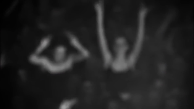 amyleefans57061.png