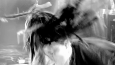 amyleefans57571.png