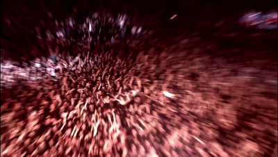 amyleefans58201.png