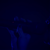 amyleefans01411.png