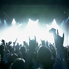 amyleefans01561.png