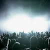 amyleefans01621.png