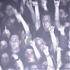 amyleefans01651.png