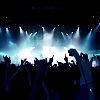 amyleefans01711.png