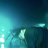 amyleefans01921.png