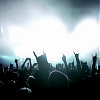 amyleefans02341.png