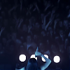 amyleefans02521.png