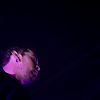 amyleefans03241.png