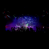 amyleefans03541.png