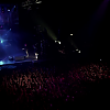amyleefans03661.png