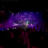 amyleefans03871.png