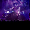 amyleefans05161.png