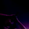 amyleefans06091.png