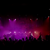 amyleefans06121.png