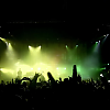 amyleefans06331.png
