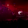 amyleefans06571.png
