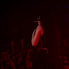 amyleefans07351.png