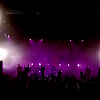 amyleefans08341.png