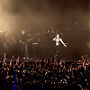 amyleefans08611.png