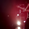 amyleefans11281.png