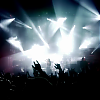 amyleefans11341.png