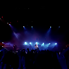 amyleefans11881.png
