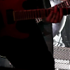 amyleefans12361.png
