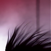 amyleefans12421.png