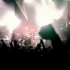 amyleefans12751.png